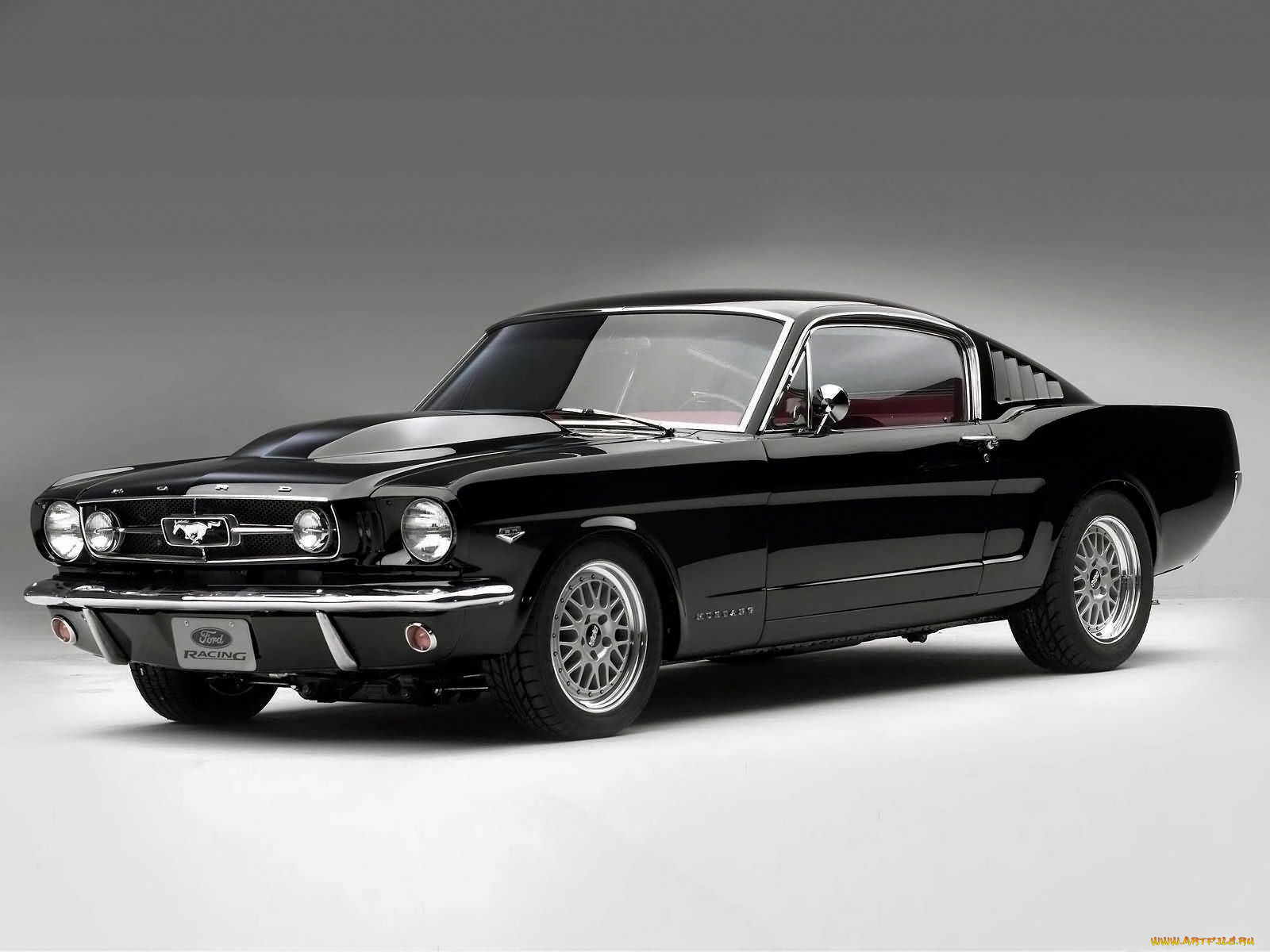 , mustang